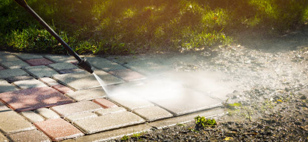 Best Dumpster Area Cleaning  in High Point, FL
